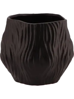 Black Pot