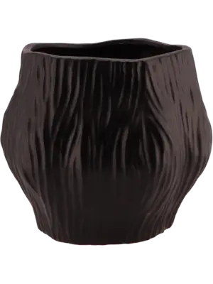 Black Pot