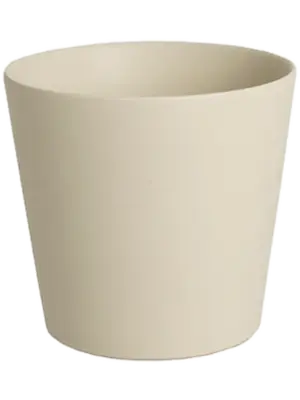 Round Orchidpot Cream