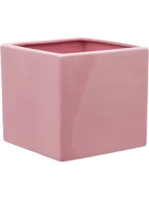 Square Shiny Pink