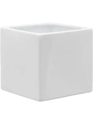 Square Shiny White