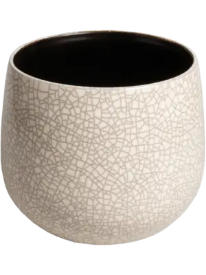 Pot Cream