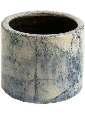 Orchidpot Petrol