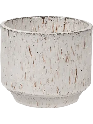Orchidpot White