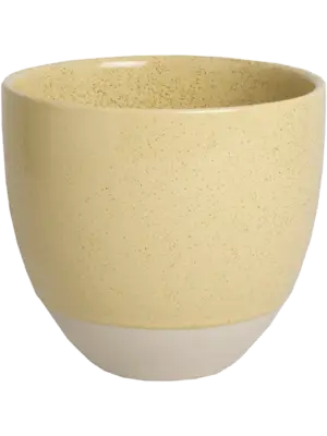 Orchidpot Butter
