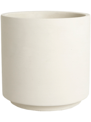 Orchidpot Cream