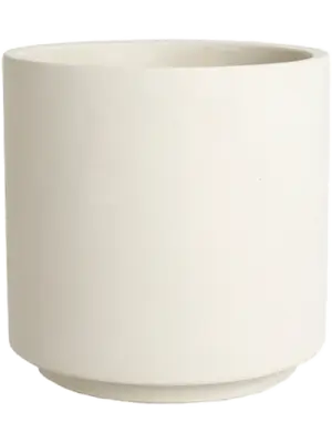 Orchidpot Cream