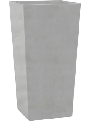 Kubis