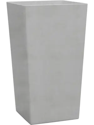 Kubis