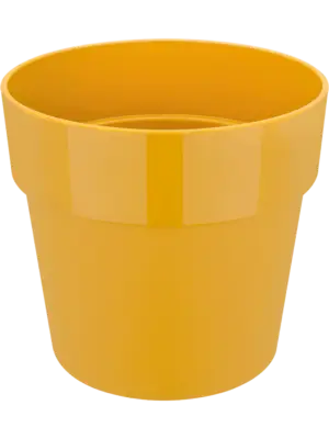 Round Ochre