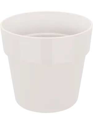 Round White