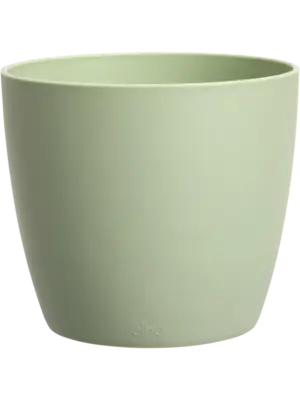 Round Sorbet Green