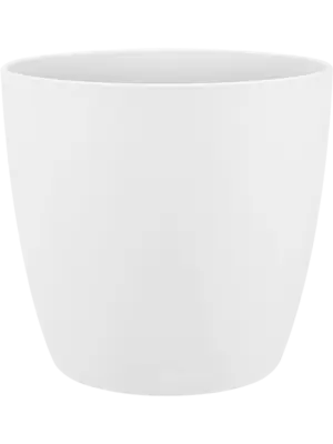 Round White