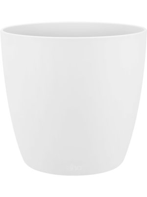 Round White