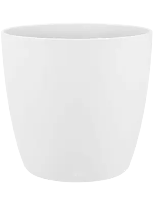 Round White