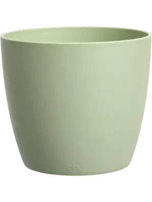 Round Mini Sorbet Green