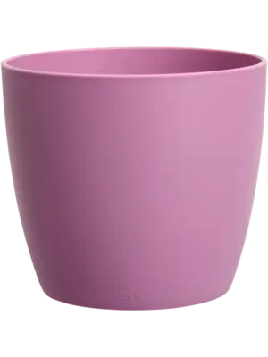 Round Mini Vivid Violet