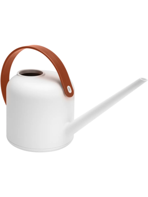 White (1