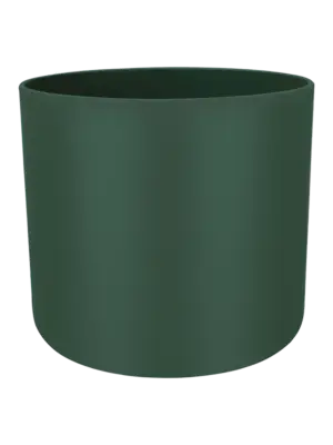 Round Leaf Green