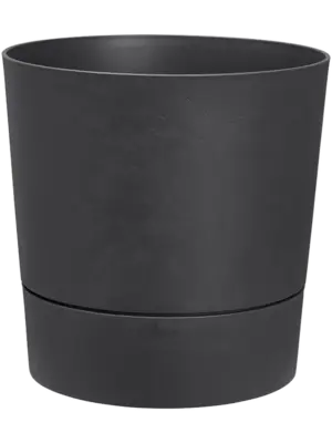 Round Charcoal