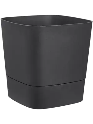 Square Charcoal