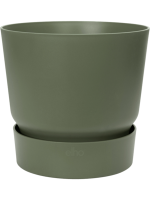 Round Leaf Green