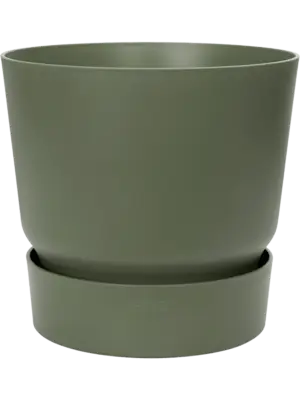Round Leaf Green