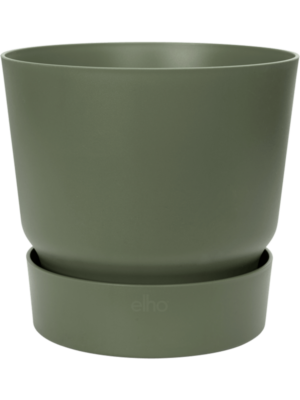 Round Leaf Green