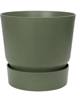 Round Leaf Green