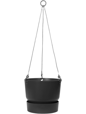 Hanging Basket Living Black