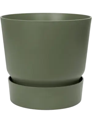 Round Leaf green