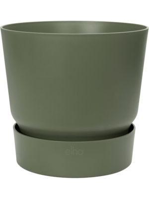 Round Leaf Green