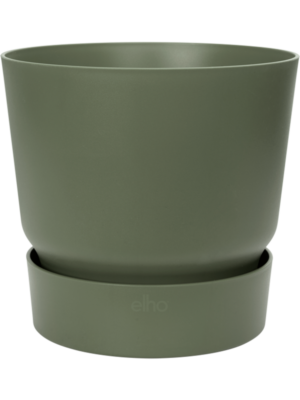 Round Leaf Green