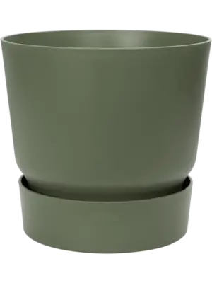 Round Leaf Green