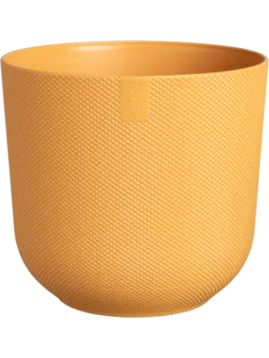 Round Amber Yellow