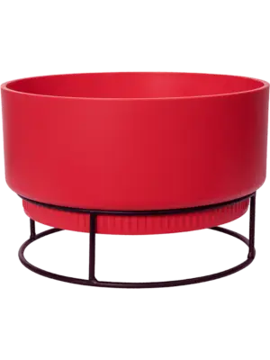 Bowl Brilliant Red