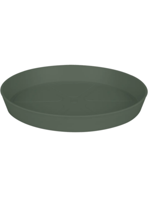 Saucer Thyme Green