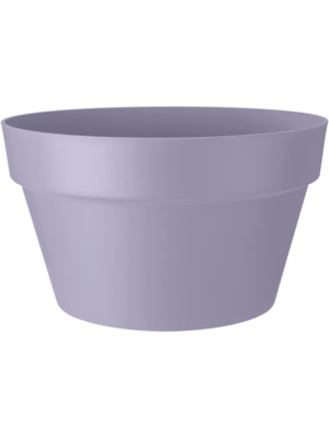 Bowl Lavender Lilac