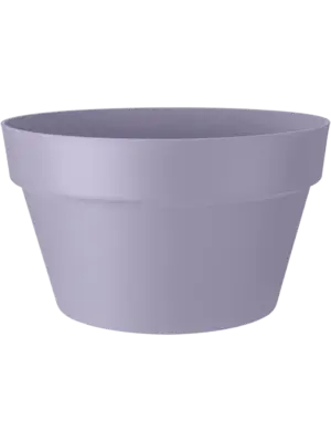 Bowl Lavender Lilac