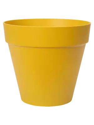 Round With Wheels Ochre