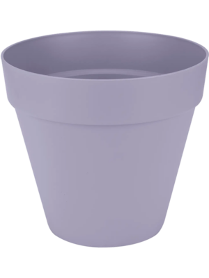 Round Lavender Lilac