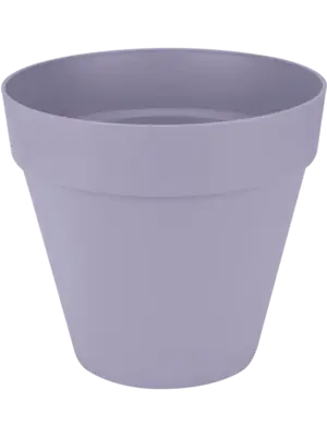 Round Lavender Lilac