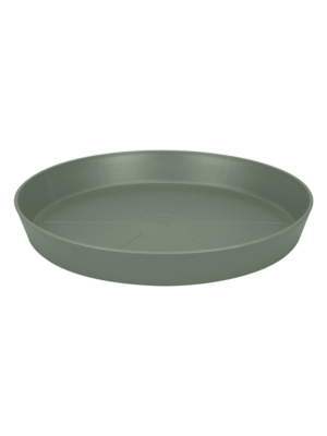 Saucer Round Pistachio Green