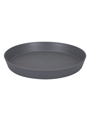 Saucer Anthracite