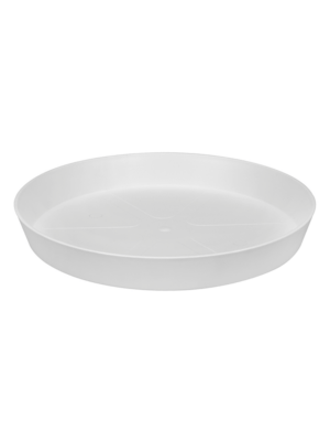 Saucer White