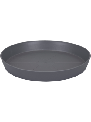 Saucer Anthracite
