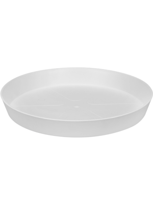 Saucer White