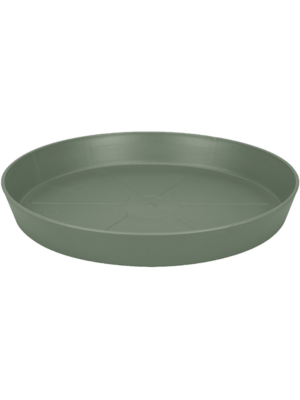 Saucer Pistachio Green