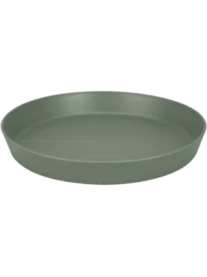 Saucer Pistachio Green