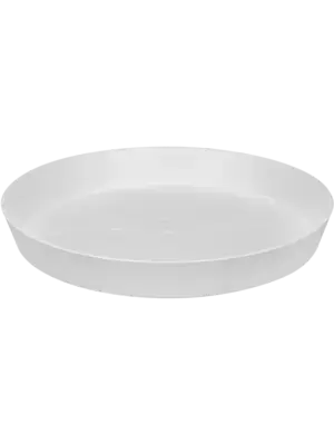 Saucer White